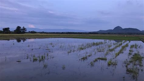 pangasinan.wah.ph|Good afternoon from .